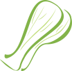 Icona Pak Choi