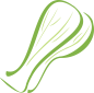 Pak Choi